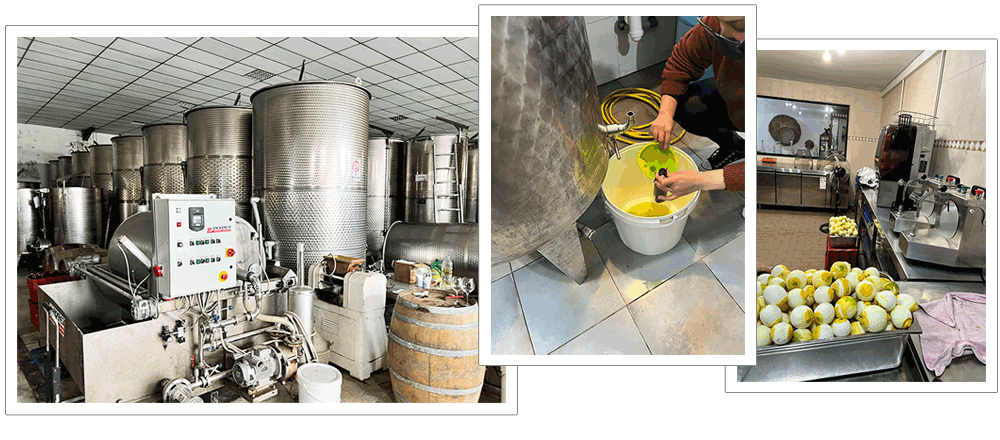 マルタの自家製グルメをゲット！