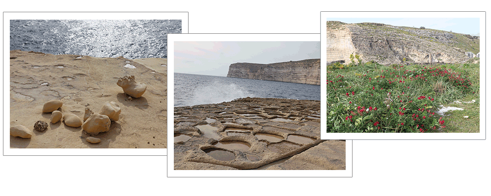 シュレンディ　ゴゾ島ハイキング
