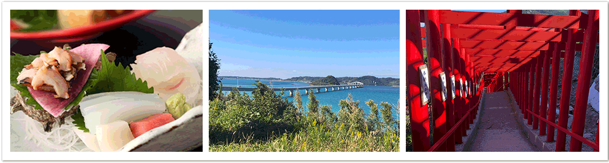 世界遺産、萩の城下町・萩反射炉と元乃隅稲荷神社・秋芳洞