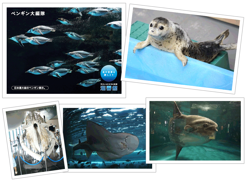 関門海峡に臨む海の“いのち・海といのち”をメインコンセプトとした水族館