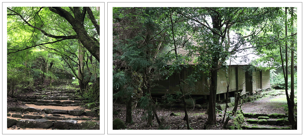 豊前・求菩提山（国指定史跡）森林リゾートでパワーチャージ！