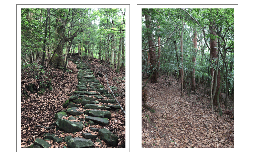 豊前・求菩提山（国指定史跡）森林リゾートでパワーチャージ！