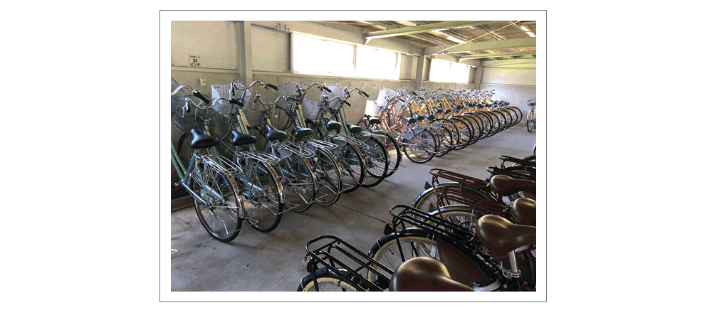 初心者から上級者向けまであるサイクリングコース。