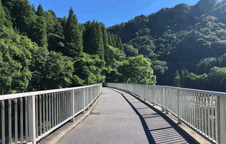 大自然のなかを走る！メイフル耶馬サイクリングロード