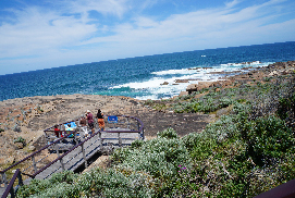 フレアブログを見る