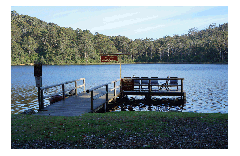 湖畔リゾートの森林ウォークでパワーチャージ！