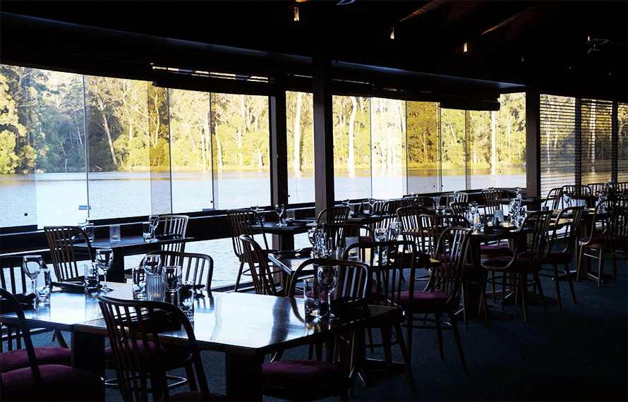 湖畔リゾートの森林ウォークでパワーチャージ!