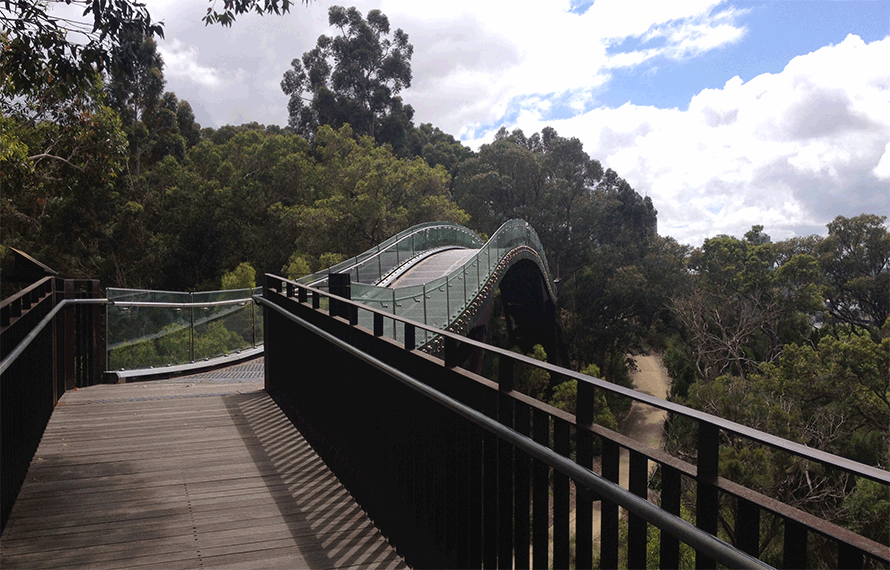 西オーストラリア・パースのシンボル キングスパーク