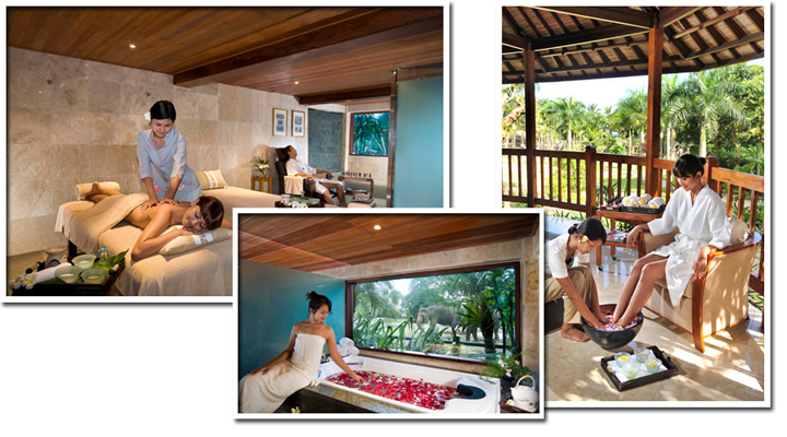 バリ島・エレファントサファリでエンジョイ！象とのふれあい体験＆ロッジに泊まるバリステイ！