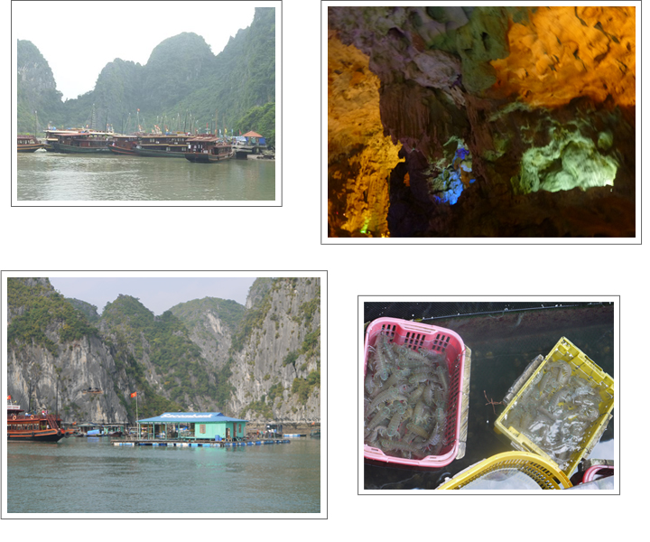 ベトナム「世界遺産ハロン湾に泊まる」ハロン湾クルーズの優雅な休日！