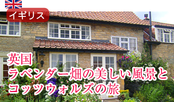 英国のラベンダー畑の美しい風景とコッツウォルズの旅