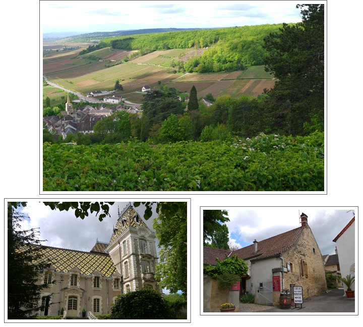 フランス・ブルゴーニュプチホテルに泊まる“のどかな旅”