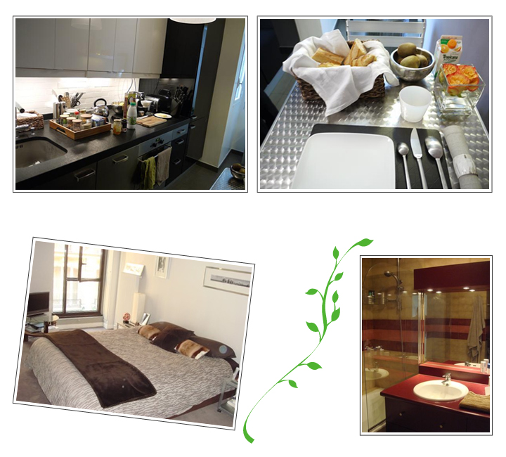 フランス ちょっぴり贅沢なパリのシャンブルドットで過ごす