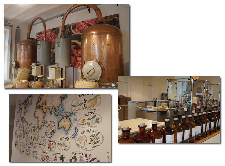 南フランス　コートダジュール・モナコ＆プロヴァンス満喫の旅”