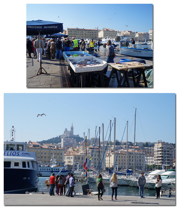 南フランス　コートダジュール・モナコ＆プロヴァンス満喫の旅