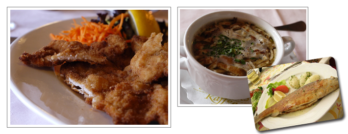 オーストリア･ウィーン＆ザルツブルク・コンサートの旅イメージ