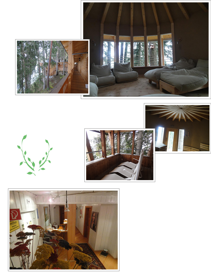 チロルの大自然&BIOホテルに泊まるオーストリア・オーガニックの旅イメージ