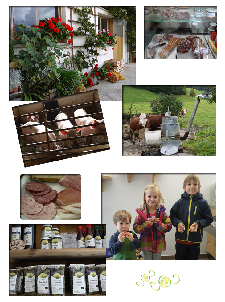 チロルの大自然&BIOホテルに泊まるオーストリア・オーガニックの旅イメージ