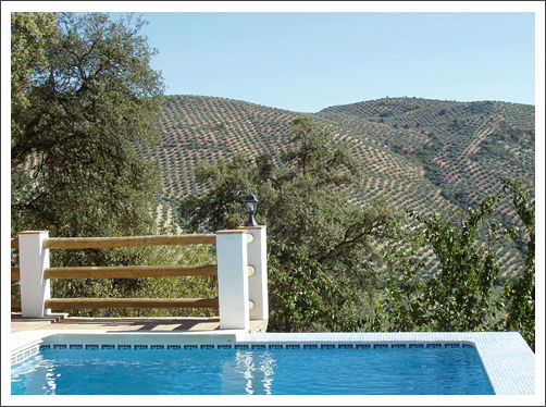 スペイン・アンダルシアのプチホテルでカントリーライフ!