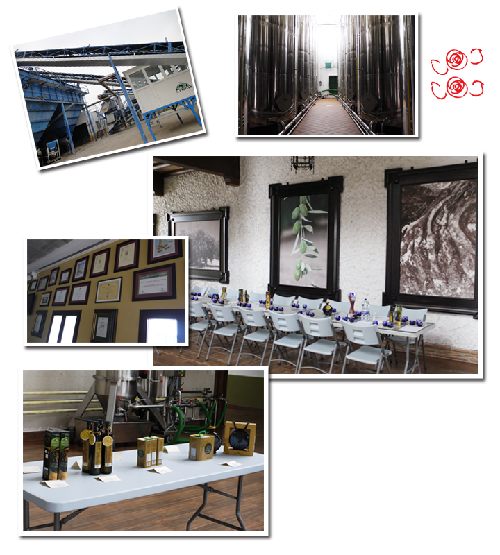 スペイン・アンダルシアのプチホテルでカントリーライフ!