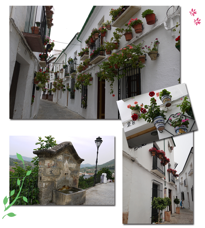 スペイン・アンダルシアのプチホテルでカントリーライフ!