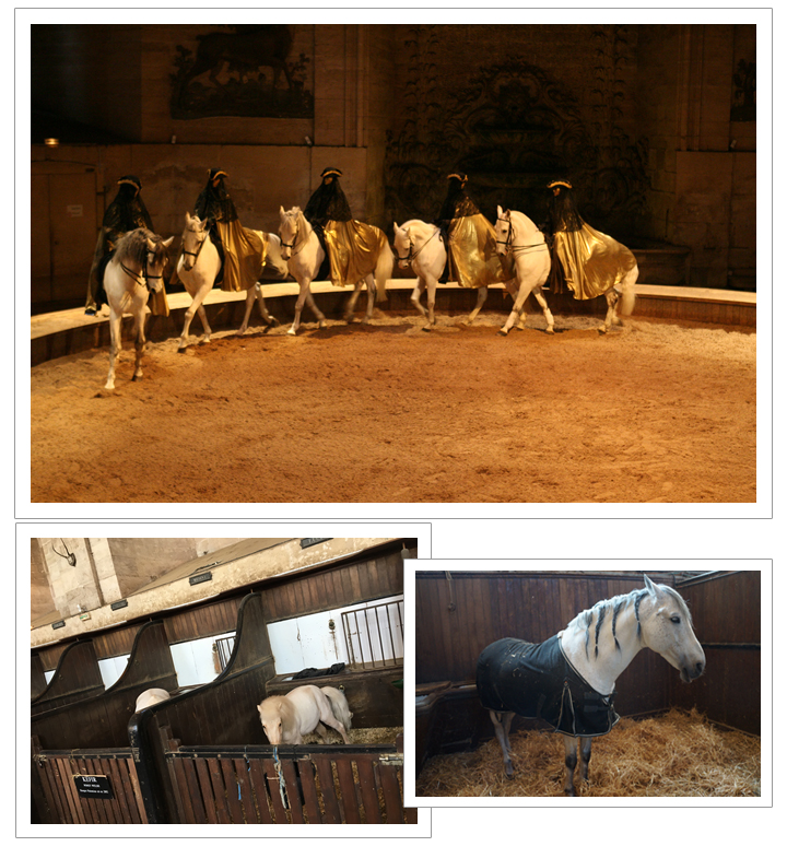 知られざる北フランス　リール・アラス・アミアン＆パリこだわりの旅7日間