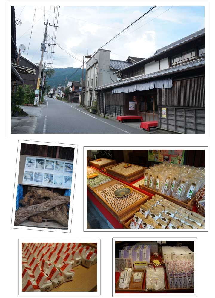 慰安旅行!福岡発着 小京都秋月~天領日田~湯布院~博多 2泊3日