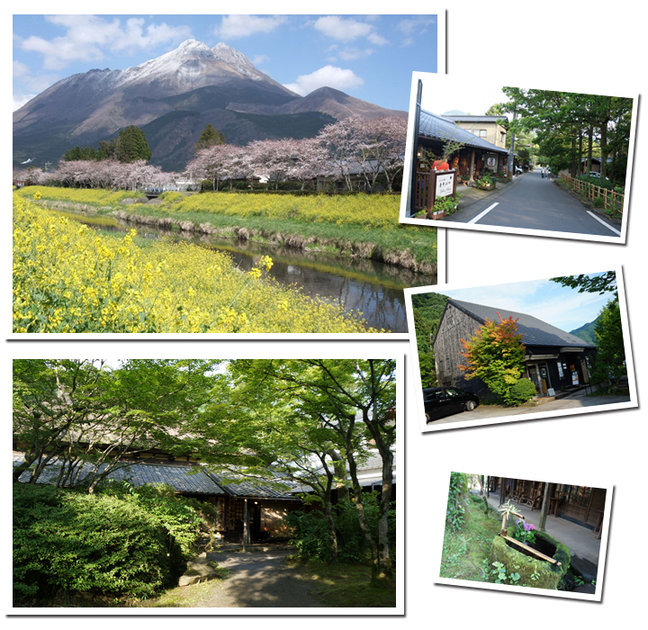 慰安旅行!福岡発着 小京都秋月~天領日田~湯布院~博多 2泊3日